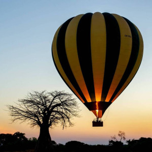 one-day-arusha-national-park